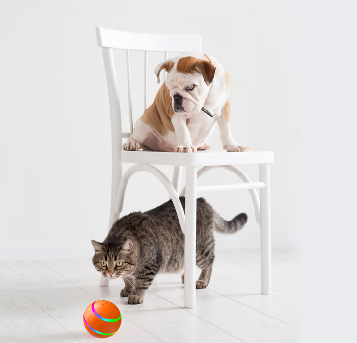 Xtradeal - Selbstbewegender Katzen & Hunde Spielball